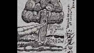 Revenant - Transcending A World Of Shadow