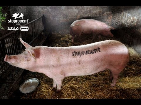 Sobota - Stoprocent 2 gośc. Kool Savas,Gural, Wall-e, Rytmus, Bigz (prod. Matheo)