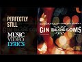 Gin Blossoms - Perfectly Still (Lyrics)