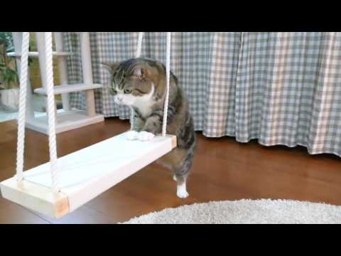 ブランコとねこ。-Swing and Maru.-