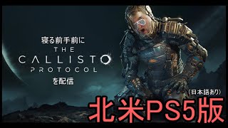 (第3夜)寝る前手前にCallistoProtocolを配信