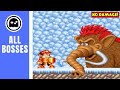 Super Adventure Island II SNES All Bosses No Damage