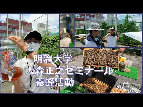商学科 大森ゼミの養蜂活動！