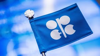 Oil Prices Will Rise Despite OPEC+ Decision: Analyst Sen