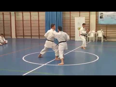 Pinan Shodan Bunkai Kata Shindokai