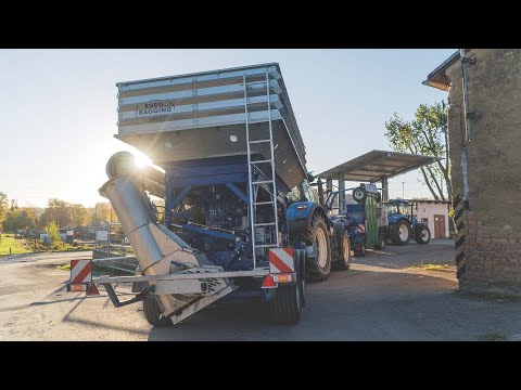 Sklizeň kukuřice na CCM se stroji EURO BAGGING