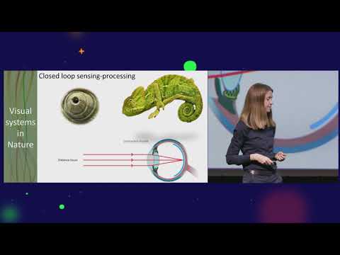 Yulia Sandamirskaya, Julien Martel