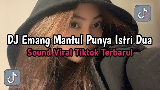 Download lagu DJ EMANG MANTUL PUNYA ISTRI DUA|DJ DASTER KUNING SOUND VIRAL TIKTOK TERBARU!! mp3
