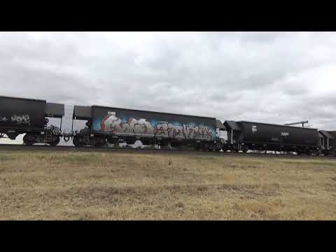 RL305, 602, GM27 & BRM002 6NK3 Grain