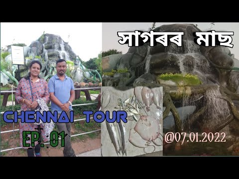 Chennai Tour..Ep. 01 /Animesh Sarmah/ #chennai #merinabeach
