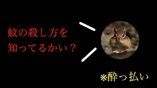 後半になるにつれてバカになっていくヤマリスの様子ww