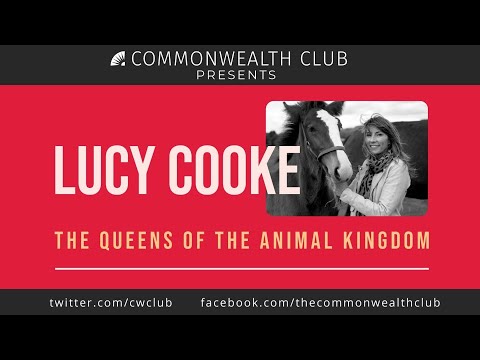 Lucy Cooke: The Queens of the Animal Kingdom