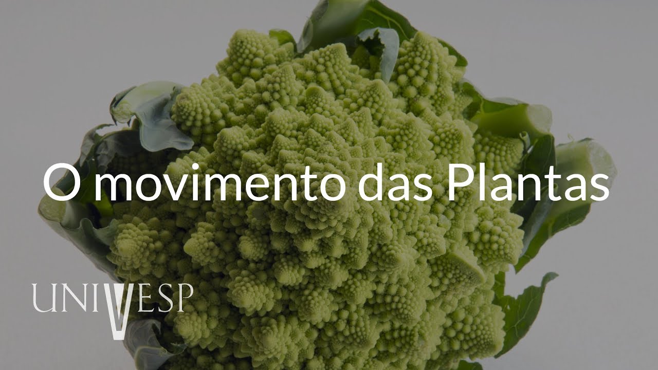 Fisiologia Vegetal - Aula 07 - O movimento das plantas