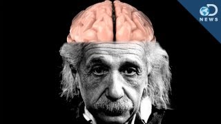 How Einstein&#39;s Brain Is Different Than Yours