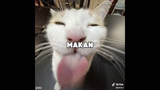 Download lagu INGATKAN KAWAN mp3 Download lagu INGATKAN KAWAN mp3