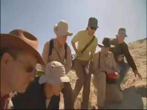 Nasca Lines Decoded