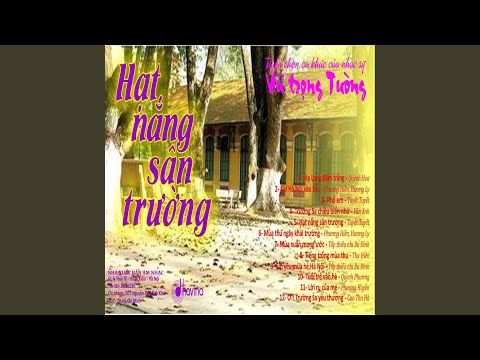 HẠT NẮNG SÂN TRƯỜNG