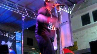 Vanilla Ice - Dirty South