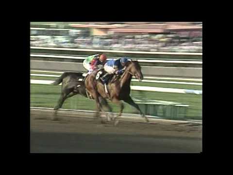 MISTER FRISKY - SAN VICENTE 1990