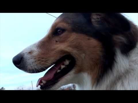 Bajo San Juan - Lagartijeando