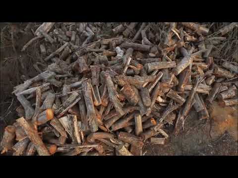 WE MUST STOP THIS! Want to change the world? Watch this!