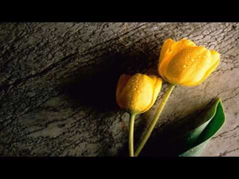 Rossa Feat Hafiz - Salahkah (Lyrics)