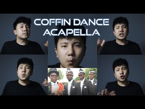COFFIN DANCE X MARTIN GARRIX -GOLD SKIES / BEATBOX ACAPELLA COVER / ZONIMONG