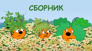 Три Кота | Сборник Увлекательных Серий | Мультфильмы для детей ? ☄?