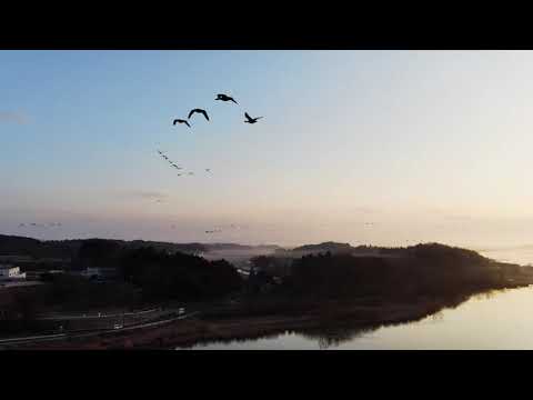 Izu Numa Pond / Miyagi in Winter