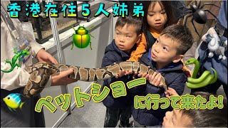HKCECで開催中のペットショーに行ってきたよ！ボールパイソン、アオジタ、ヘラクレスオオカブト、タランチュラ、、5人兄弟大興奮！