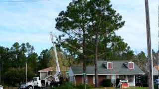 preview picture of video 'Power Line Hazard Tree Removal, Pass Christian, MS'