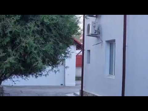 Ce spune Carmen Ichim despre lipsa angajaților de la GNM Buzău