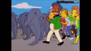 Springfield vs The Dolphins