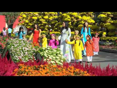 Màu áo tết - Duy Thái