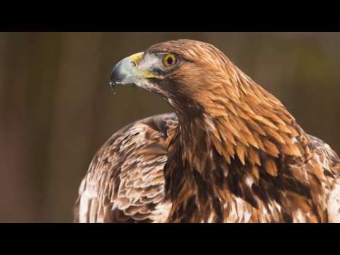 Olympus OM-D E-M1-Mark II - Im Test