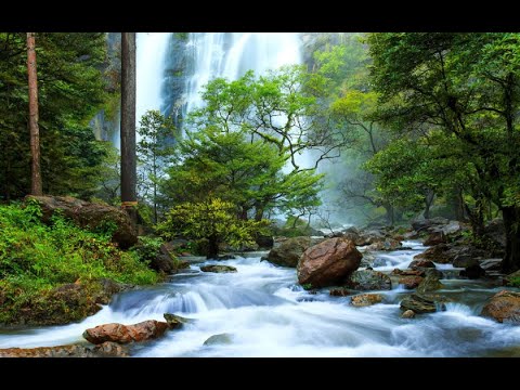 4K Forest relaxing River Sounds /Ultra HD Nature Video