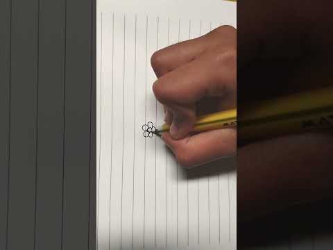 Flower Drawing By Sadika