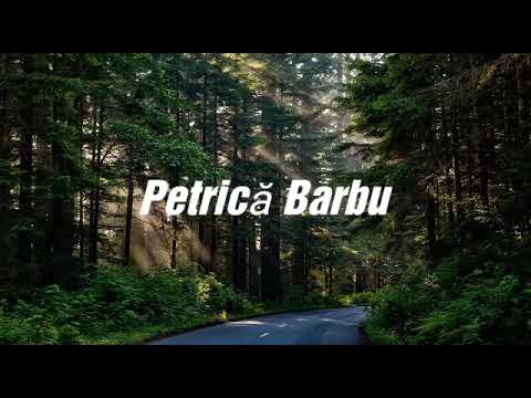 Petrică Barbu |Sfaturi pentru copii și părinții |
