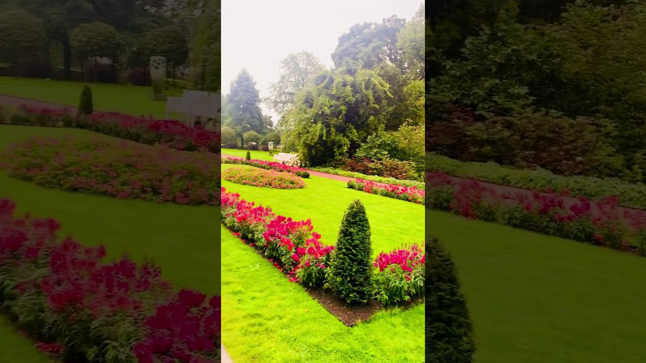 YouTube Short thumbnail