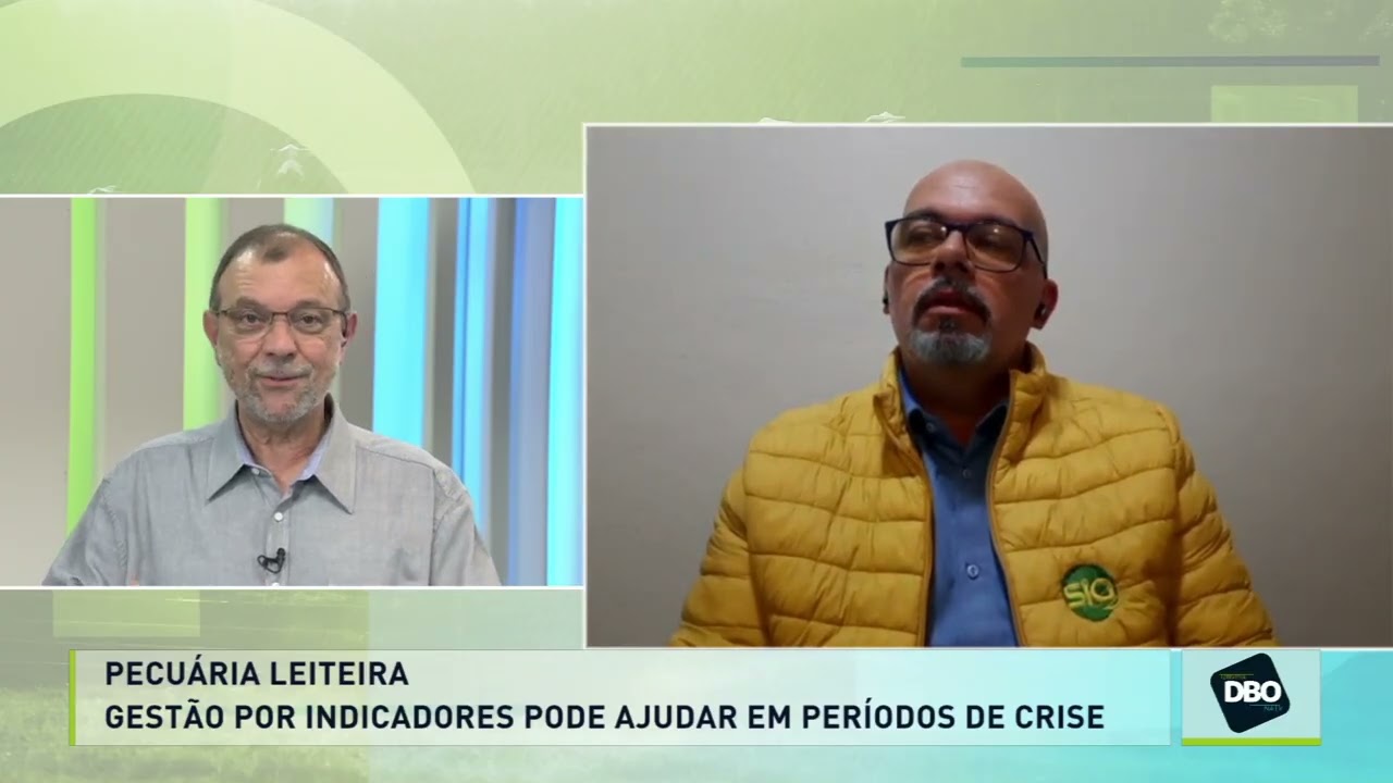 Pecuária leiteira: gestão por indicadores pode ajudar em períodos de crise