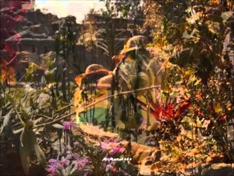 Avatinas - Inti Wawa (HD, HQ)