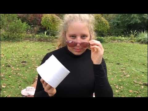 #toiletpaperchallenge