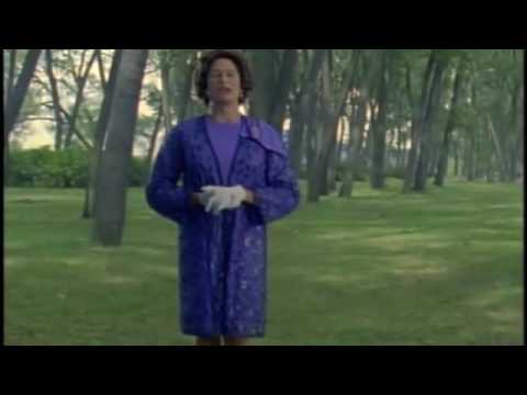 Kids in the Hall  – It's A Fact