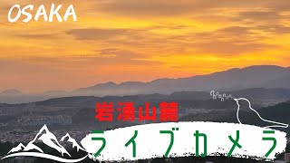 金剛山 葛城山 ライブカメラ 即時影像 🔴Osaka Mountain View Live Camera lofi radio 24/7 Japan 【Haru】 live webcam