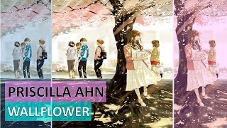 Priscilla Ahn - Wallflower [ Lyric / Lirik Terjemahan / Translate Bahasa Indonesia ]