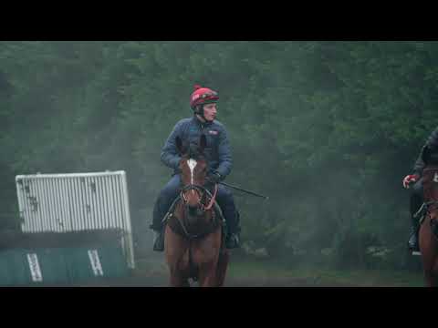 Daryl Jacob: "Horses are like humans"