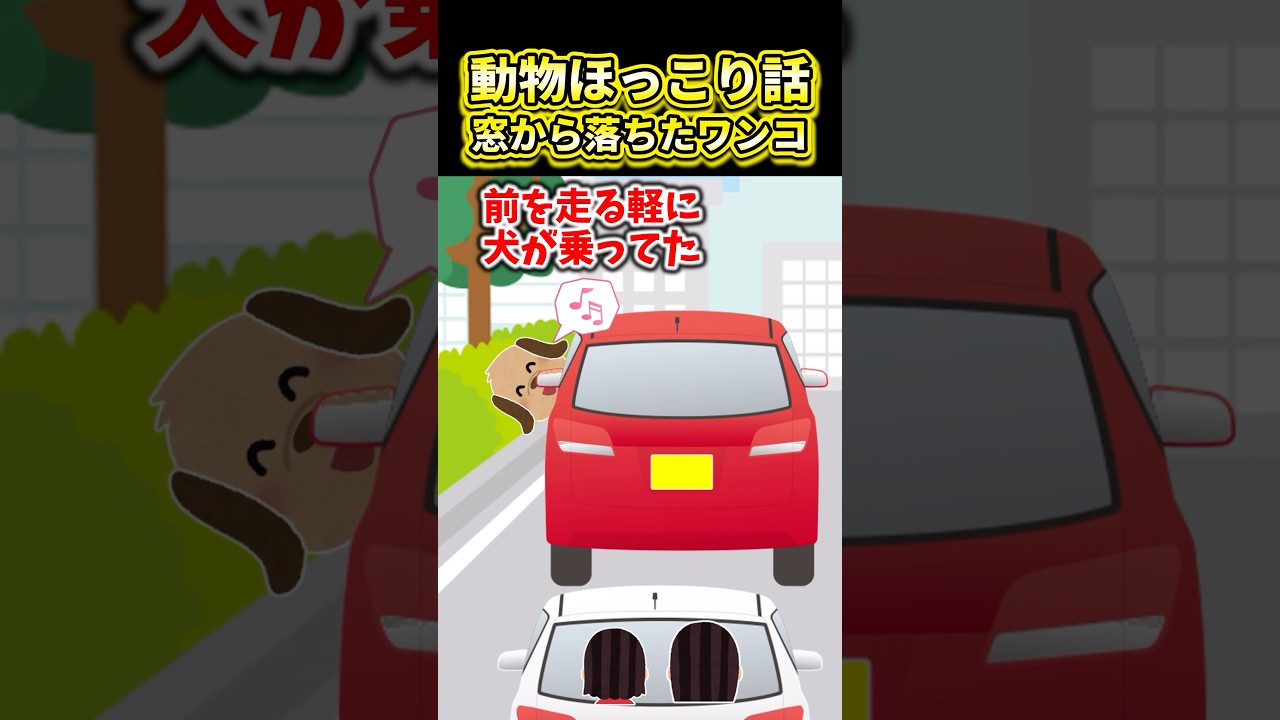 動物ほっこり話～窓から落ちたワンコ〜【2ch動物スレ】