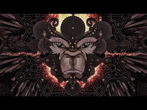 Kaikkialla - illusion of Diversity