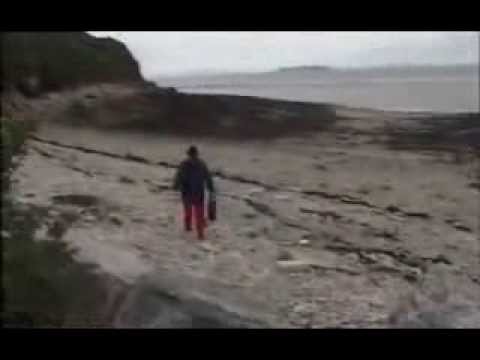 Meic Stevens a Gruff Rhys