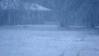 Snow in McIntosh, AL